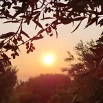 Hébergement de vacances Casa Tra Mare E Oliveti *