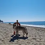 Hébergement de vacances Casa Tra Mare E Oliveti Caprioli