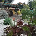 Casa Tra Mare E Oliveti Hébergement de vacances *
