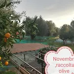 Casa Tra Mare E Oliveti Hébergement de vacances *