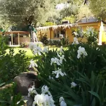Casa Tra Mare E Oliveti * Caprioli