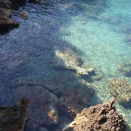 Casa Tra Mare E Oliveti