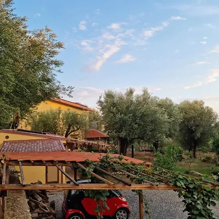 Casa Tra Mare E Oliveti 別荘 カプリオーリ