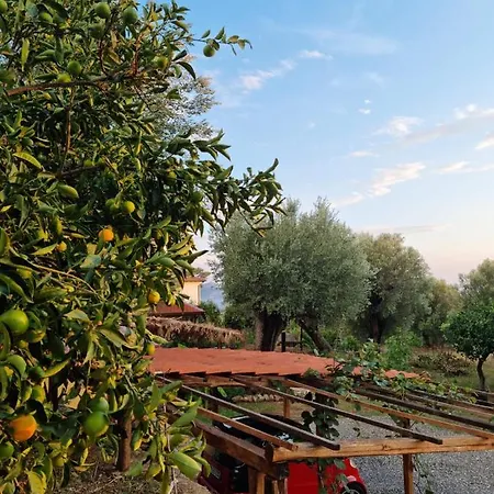 別荘 Casa Tra Mare E Oliveti カプリオーリ