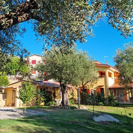 Casa Tra Mare E Oliveti 別荘