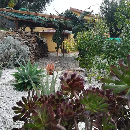 Casa Tra Mare E Oliveti 別荘 *