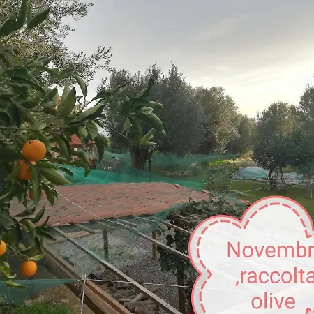 Casa Tra Mare E Oliveti 別荘 *