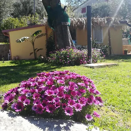 別荘 Casa Tra Mare E Oliveti *