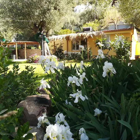 Casa Tra Mare E Oliveti * カプリオーリ