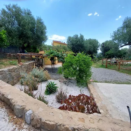 Casa Tra Mare E Oliveti