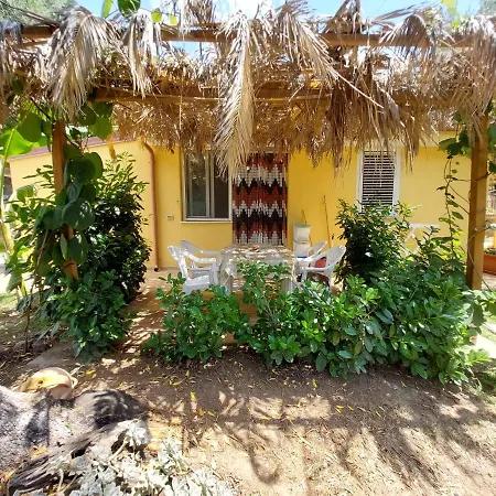 Casa Tra Mare E Oliveti 別荘 *